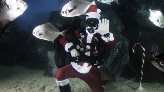 Virginia Aquarium Holiday Happenings