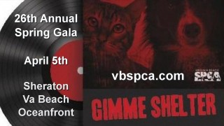 Virginia Beach SPCA Gala