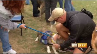 Virginia Beach SPCA Walk for Animals Feature