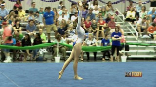 VA Gymnastics State Championship